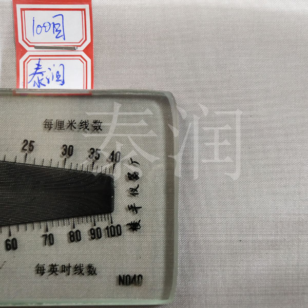 100目不锈钢丝网